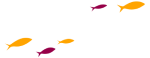 logo compartamos banco